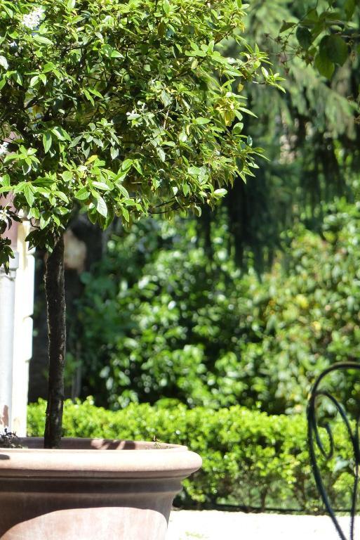Villino Di Porporano Bed and Breakfast Parma Buitenkant foto